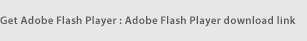  Get Adobe Flash Player : Adobe Flash Player download link